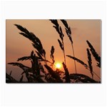 Sunset Postcard 4 x 6  (10 Pack) Front