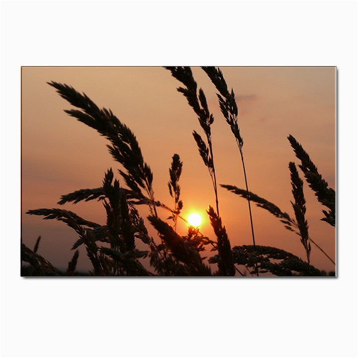 Sunset Postcard 4 x 6  (10 Pack)