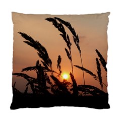 Sunset Cushion Case (single Sided)  by Siebenhuehner