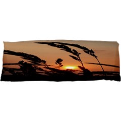 Sunset Samsung Galaxy Nexus S I9020 Hardshell Case