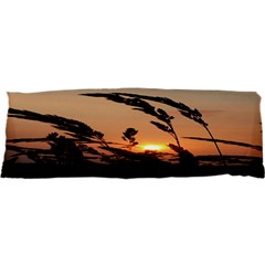 Sunset Samsung S3350 Hardshell Case