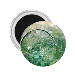 Dreamland 2 25  Button Magnet by Siebenhuehner