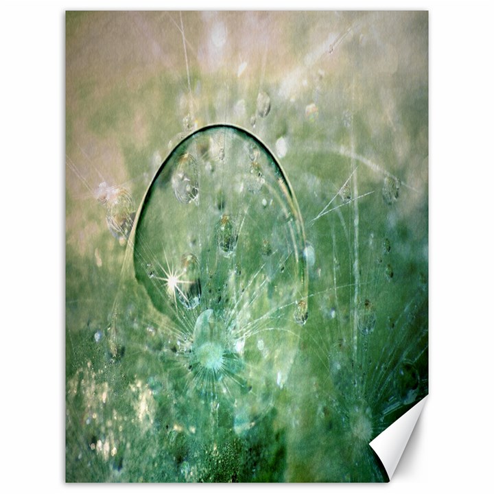 Dreamland Canvas 12  x 16  (Unframed)