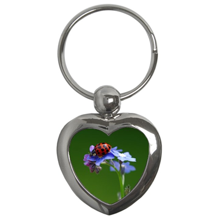 Good Luck Key Chain (Heart)