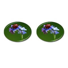 Good Luck Cufflinks (oval)