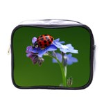 Good Luck Mini Travel Toiletry Bag (One Side) Front