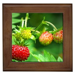 Strawberry  Framed Ceramic Tile by Siebenhuehner