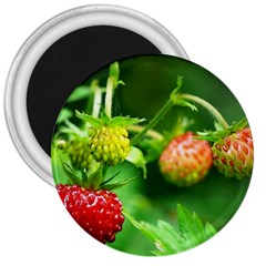 Strawberry  3  Button Magnet by Siebenhuehner