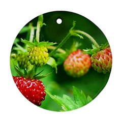 Strawberry  Round Ornament by Siebenhuehner