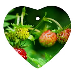 Strawberry  Heart Ornament by Siebenhuehner