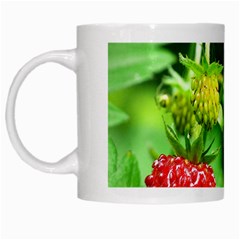 Strawberry  White Coffee Mug by Siebenhuehner