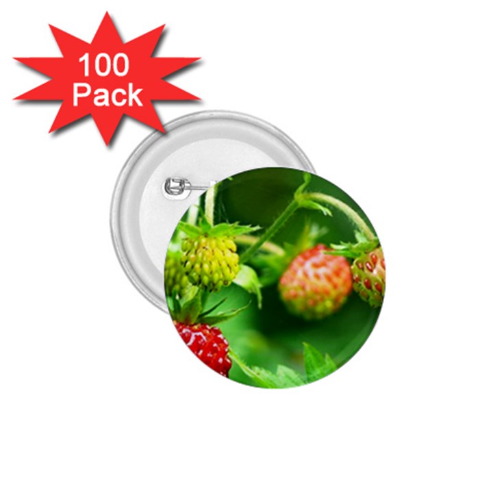 Strawberry  1.75  Button (100 pack)