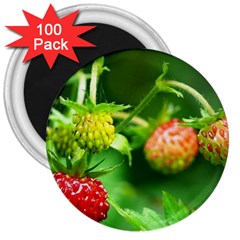 Strawberry  3  Button Magnet (100 Pack) by Siebenhuehner