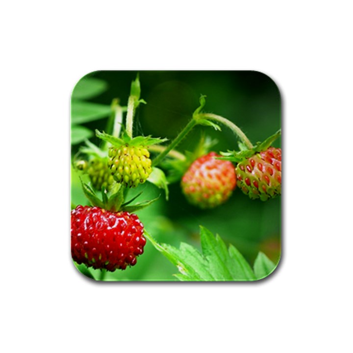 Strawberry  Drink Coasters 4 Pack (Square)