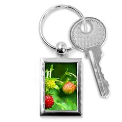 Strawberry  Key Chain (rectangle)