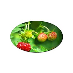 Strawberry  Sticker (oval)