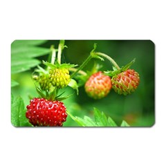 Strawberry  Magnet (rectangular) by Siebenhuehner