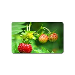 Strawberry  Magnet (name Card) by Siebenhuehner