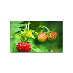 Strawberry  Sticker 100 Pack (rectangle) by Siebenhuehner