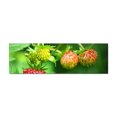 Strawberry  Bumper Sticker 100 Pack