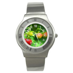 Strawberry  Stainless Steel Watch (unisex) by Siebenhuehner