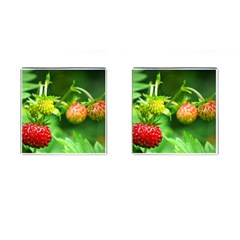 Strawberry  Cufflinks (square) by Siebenhuehner