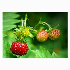 Strawberry  Glasses Cloth (large, Two Sided) by Siebenhuehner