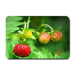 Strawberry  Small Door Mat by Siebenhuehner