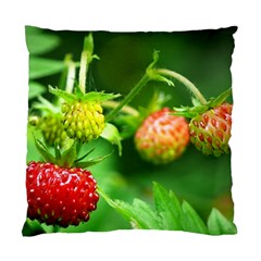 Strawberry  Cushion Case (single Sided)  by Siebenhuehner