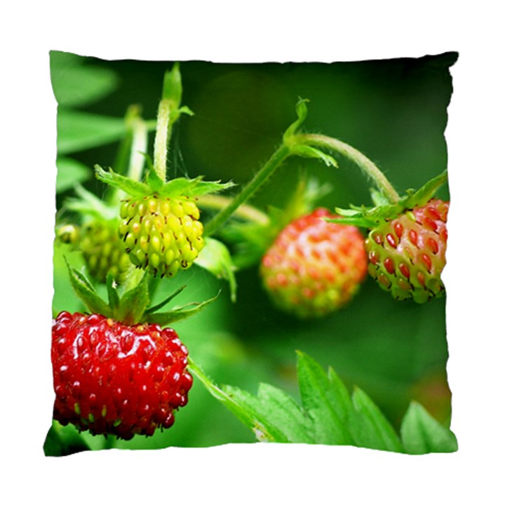 Strawberry  Cushion Case (Two Sided) 