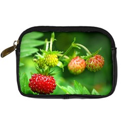 Strawberry  Digital Camera Leather Case by Siebenhuehner