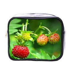 Strawberry  Mini Travel Toiletry Bag (one Side) by Siebenhuehner