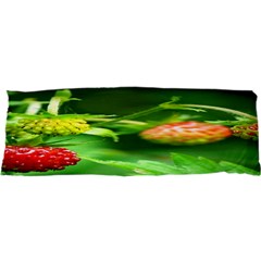 Strawberry  Samsung S3350 Hardshell Case