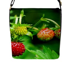 Strawberry  Flap Closure Messenger Bag (large) by Siebenhuehner