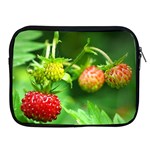 Strawberry  Apple iPad 2/3/4 Zipper Case Front