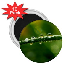 Waterdrops 2 25  Button Magnet (10 Pack) by Siebenhuehner