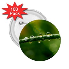 Waterdrops 2 25  Button (100 Pack) by Siebenhuehner