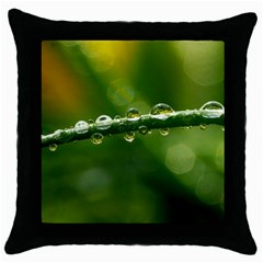 Waterdrops Black Throw Pillow Case by Siebenhuehner