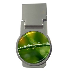 Waterdrops Money Clip (round) by Siebenhuehner