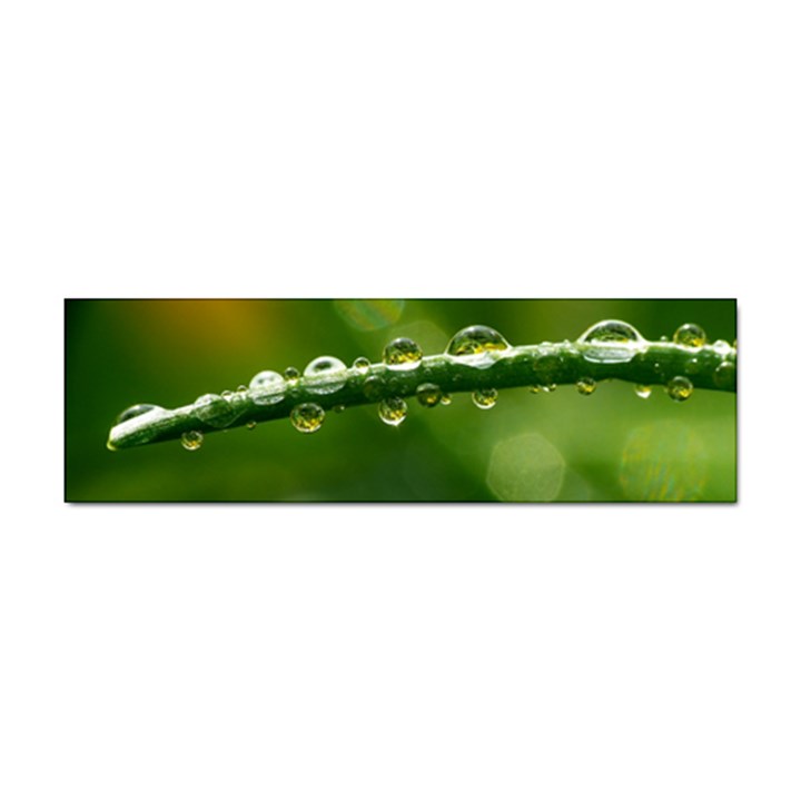 Waterdrops Bumper Sticker