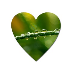 Waterdrops Magnet (heart) by Siebenhuehner