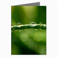 Waterdrops Greeting Card (8 Pack) by Siebenhuehner