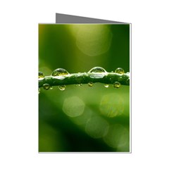 Waterdrops Mini Greeting Card (8 Pack) by Siebenhuehner