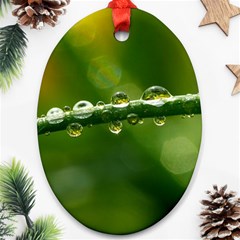 Waterdrops Oval Ornament (two Sides) by Siebenhuehner