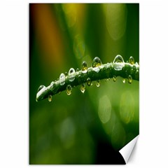 Waterdrops Canvas 12  X 18  (unframed) by Siebenhuehner