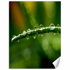 Waterdrops Canvas 18  X 24  (unframed)