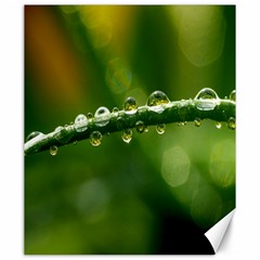 Waterdrops Canvas 20  X 24  (unframed) by Siebenhuehner