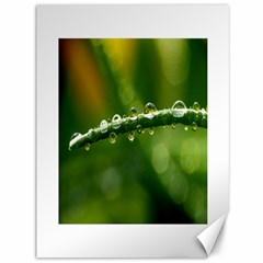 Waterdrops Canvas 36  X 48  (unframed) by Siebenhuehner