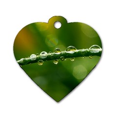 Waterdrops Dog Tag Heart (one Sided)  by Siebenhuehner