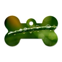 Waterdrops Dog Tag Bone (one Sided)